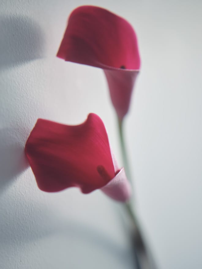 FRAY I.D PRE ORDER 2026 SPRING イメージ16