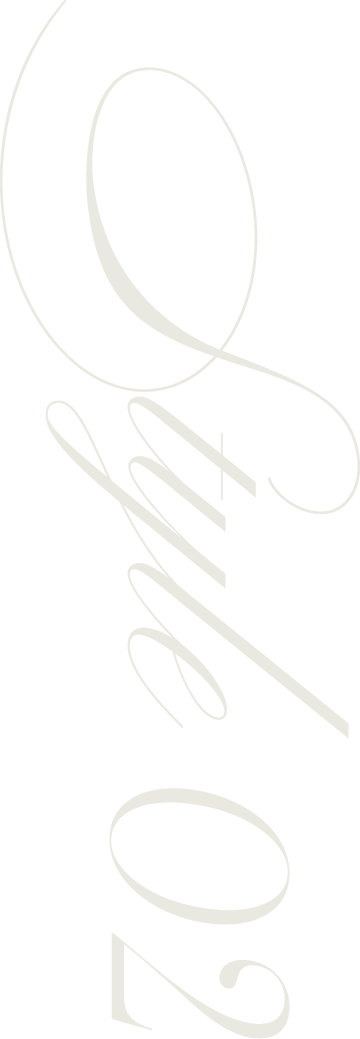 Style 02